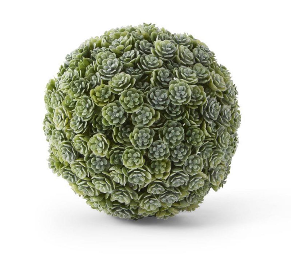 Succulent Ball 5”