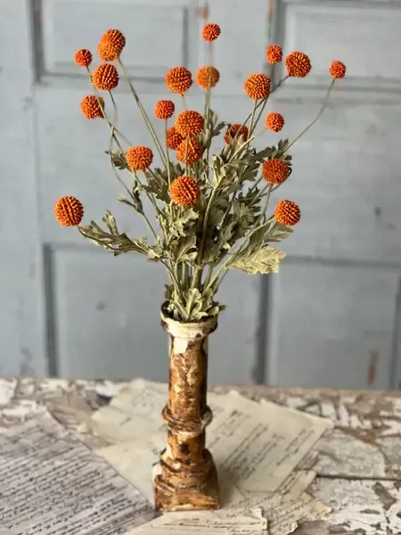Fall Wind Dancer Bush - Pumpkin 23”