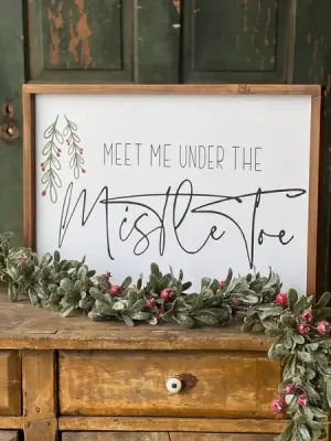 Meet Me Under the Mistletoe Sign