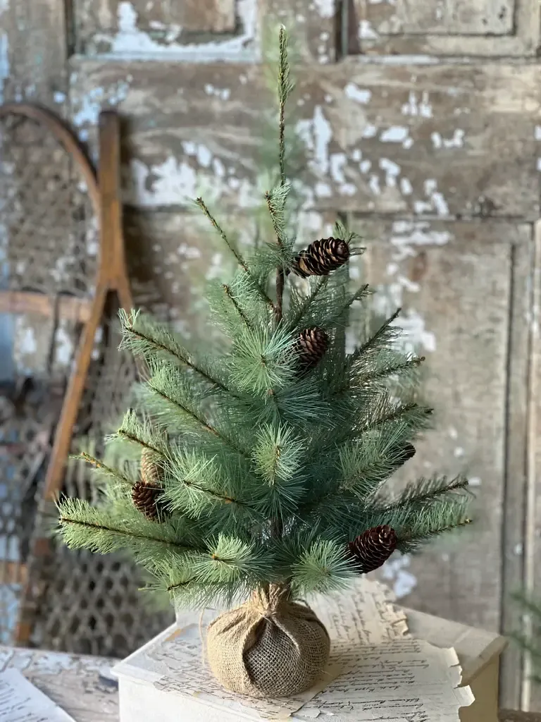 Whitley Pine Tree 2’