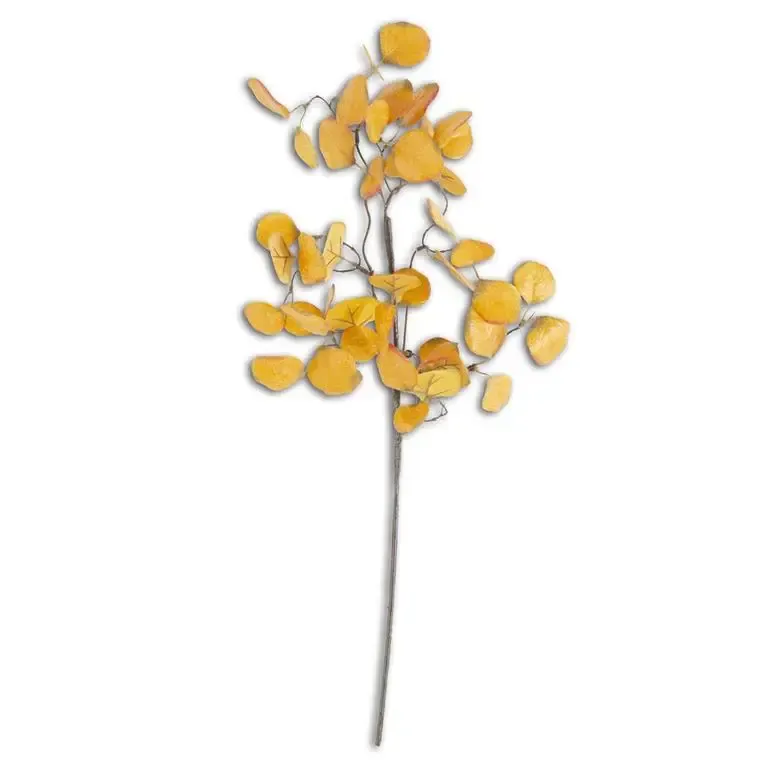 Yellow Gumdrop Eucalyptus Stem 28”