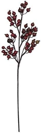 Crab Apple Stem 32”
