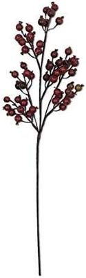 Crab Apple Stem 32”