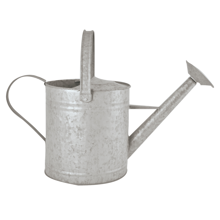 Old Zinc Watering Can .96 Gallon