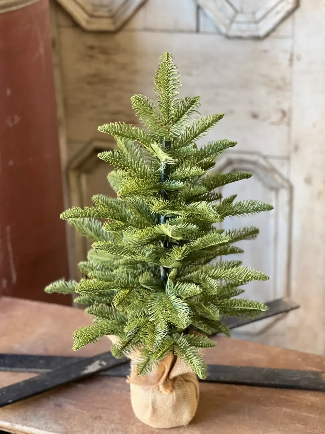 Shetland Spruce Tree 26”