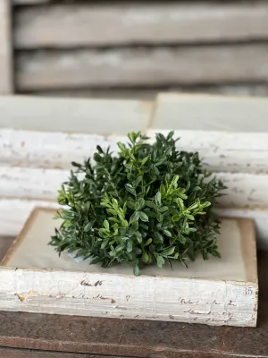 New England Boxwood Half Sphere 7”