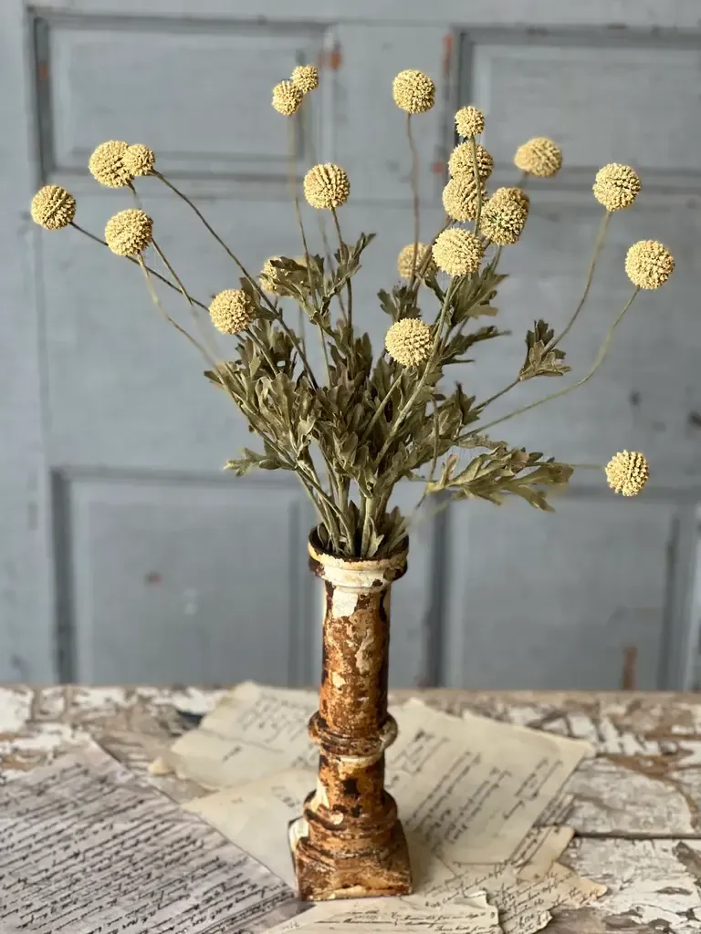 Fall Wind Dancer Bush - Cream 23”