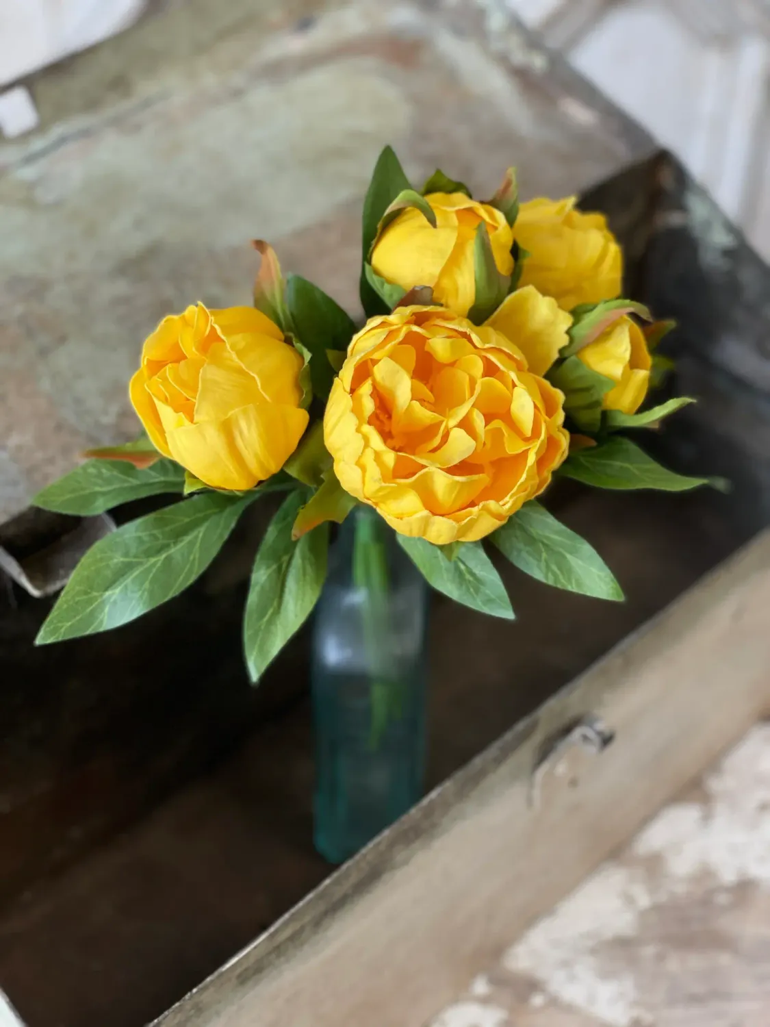 Peony Bundle 11” Yellow