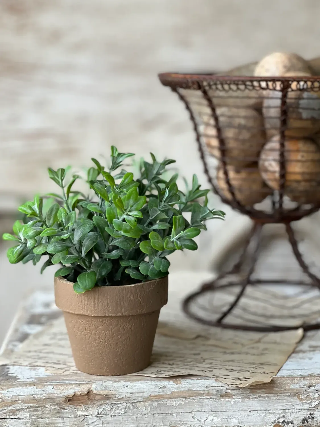 Gatehouse Herb Pot# 1 6”