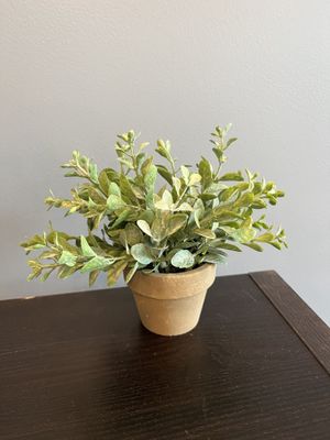 Gatehouse Herb Pot# 2 6”