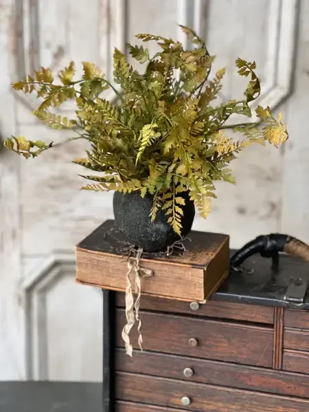 Rooted Fern Lace 13”