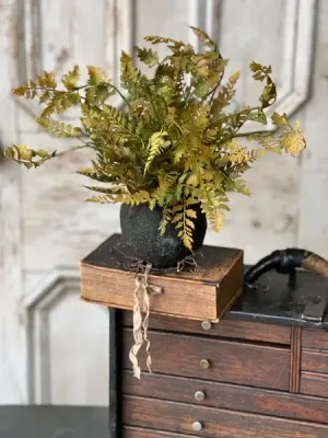 Rooted Fern Lace 13”