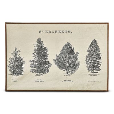 Evergreen Wall Art