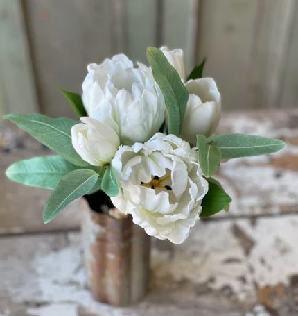 Grand Opening Tulip White 12”