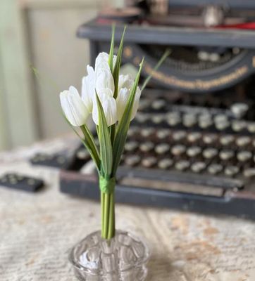 Teeny Tiny Tulip Bunch Cream 7”