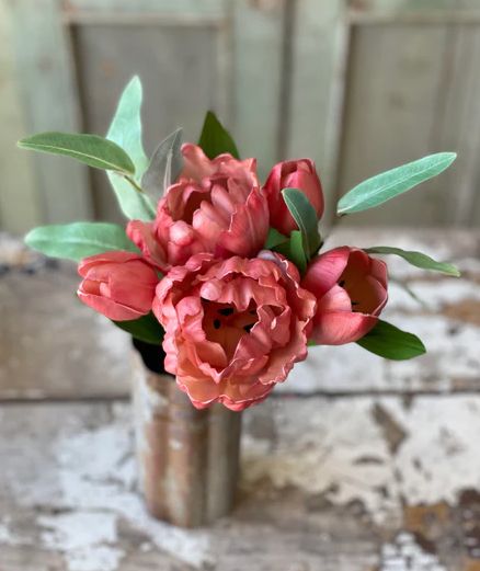 Grand Opening Tulip Parasol Pink 12”