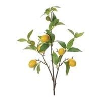 Lemon Branch 33.5”H
