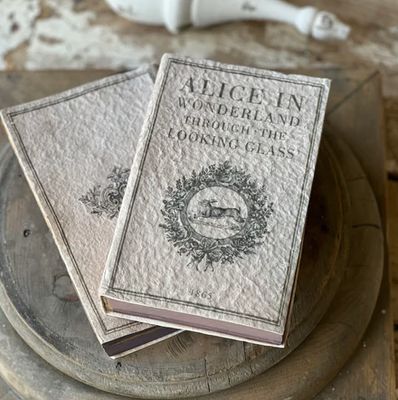 Novel Notes | Alice in Wonderland