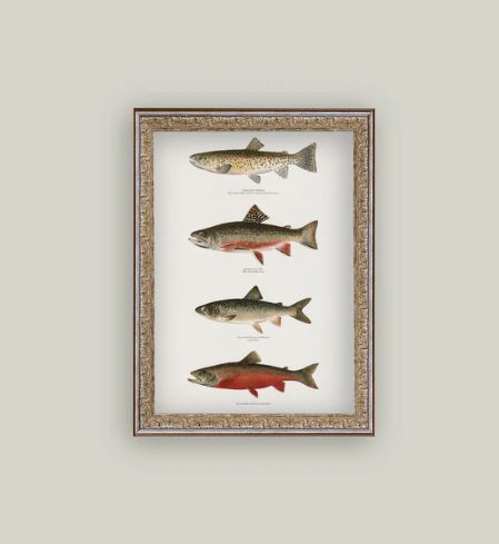 Vintage Trout Sign 12x16”