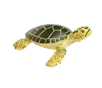 Sea Turtle Baby