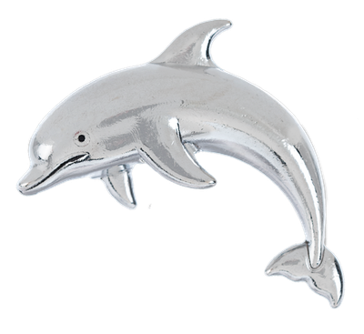 Lucky Little Dolphin Charm