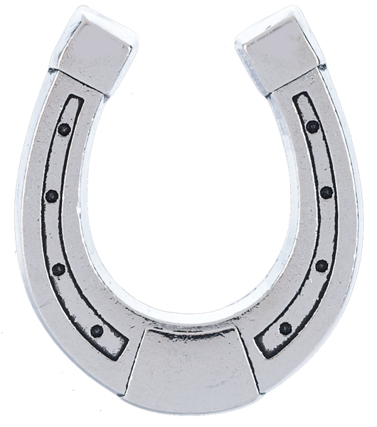Lucky Little Horseshoe Charm