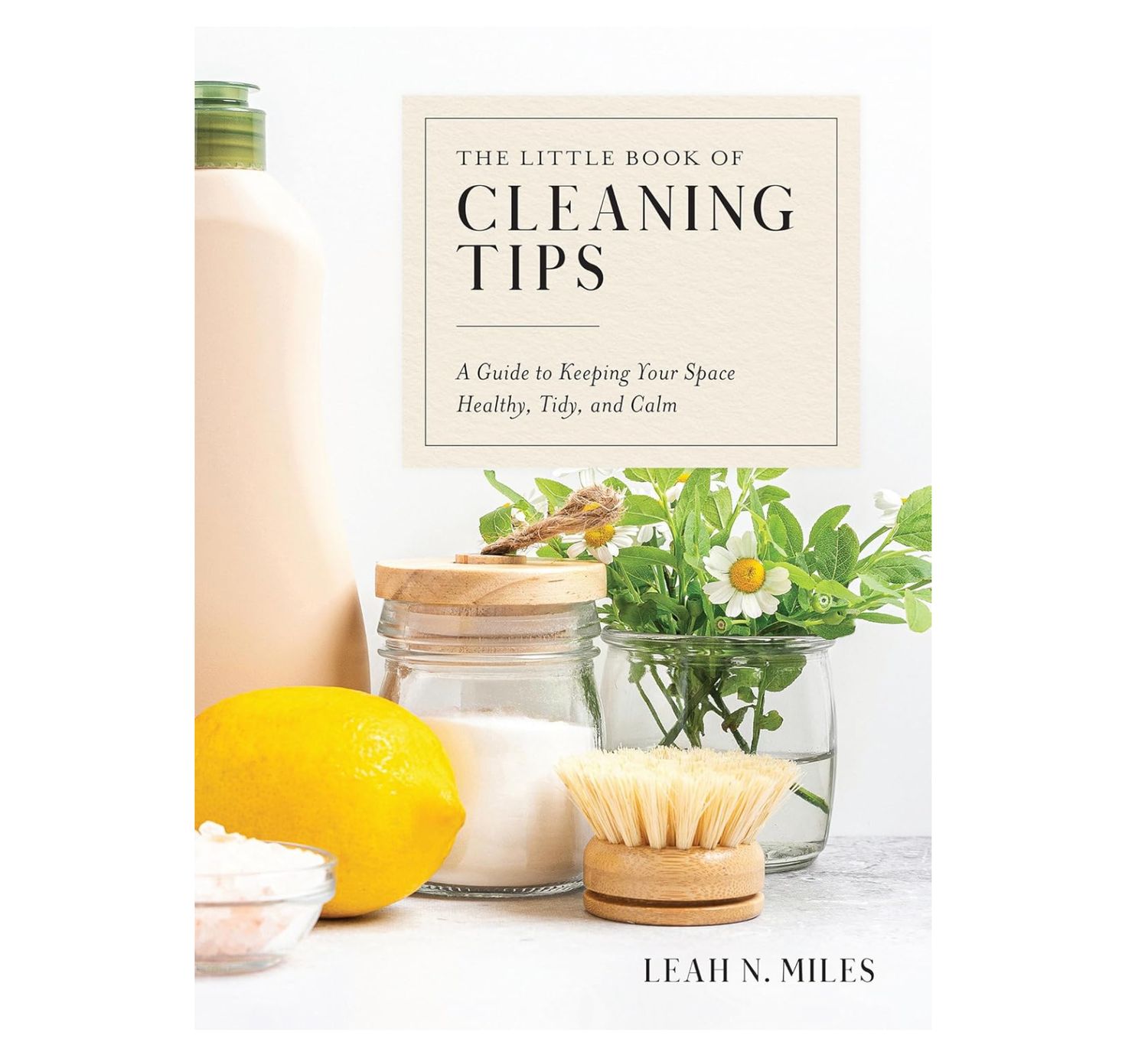 Little Book of Cleaning Tips