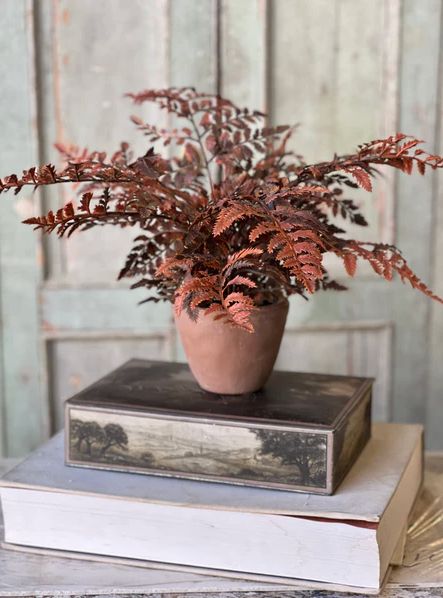 Autumnal Fern Potted Russet 18”