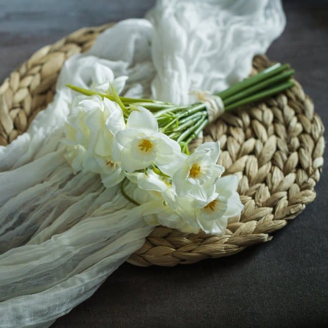 White Daffodil Bundle 9.5&quot;