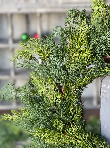 Verdant Cedar Wreath 22”