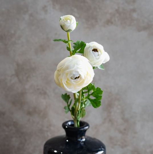 16.5” White Ranunculus Stem