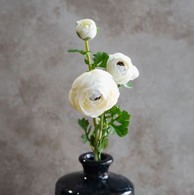 16.5” White Ranunculus Stem