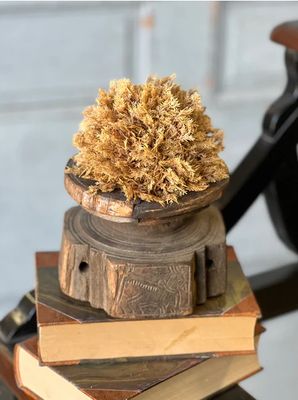 Sungold Half Sphere 5”