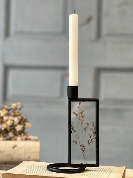 Botanical Candle Holder Reef 6.75”