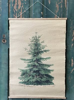 Grand Fir Hanging Scroll 37.75 x 26.75”