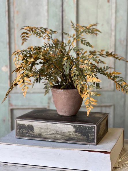 Autumnal Fern Potted Moss 18”