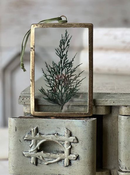 Petite Pine No. 3 Ornament 4 x 11.75”