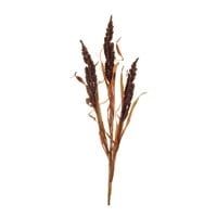 Astilbe Grass Spray 25”