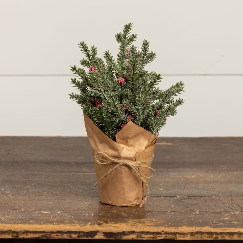 Potted Icey Pine, Berry &amp; Pinecone 12”