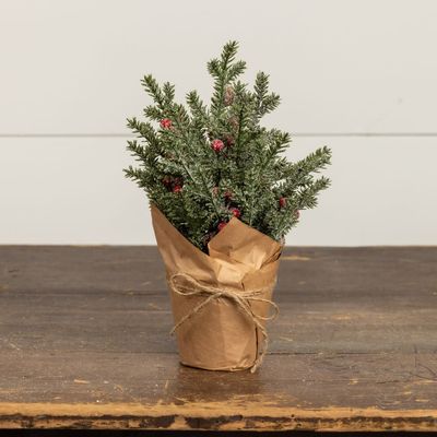 Potted Icey Pine, Berry &amp; Pinecone 12”