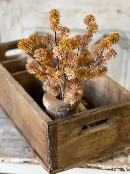 Urchin Buds 16.5&quot;