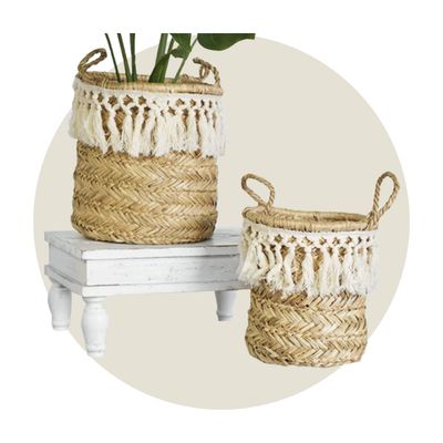 Jars, Baskets, Storage