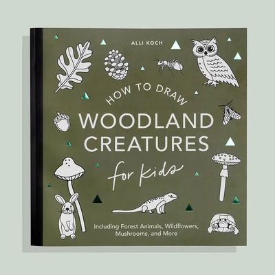 How to Draw Woodland Creatures