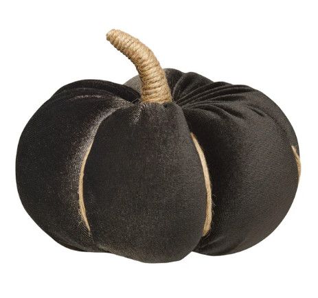 Black Velvet Pumpkin 5 x 3”