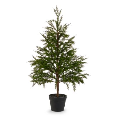 Potted Cedar Tree 36&quot;
