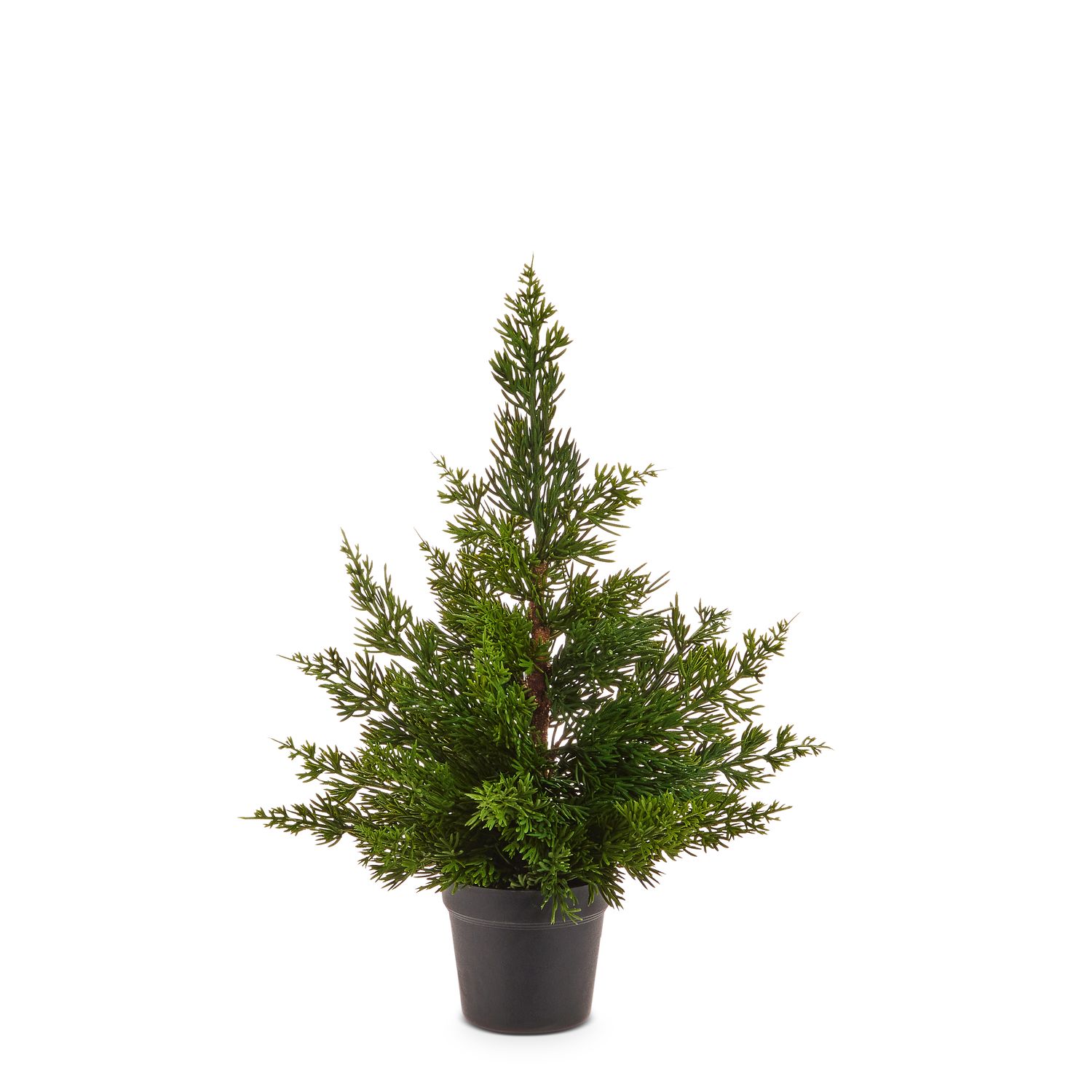 Potted Cedar Tree 17&quot;