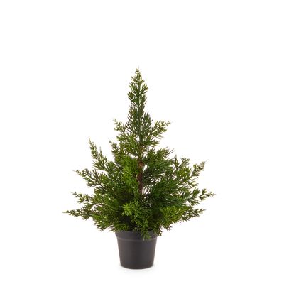 Potted Cedar Tree 17&quot;