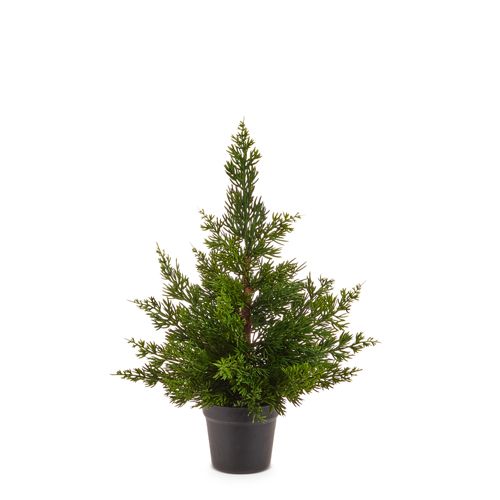Potted Cedar Tree 22&quot;
