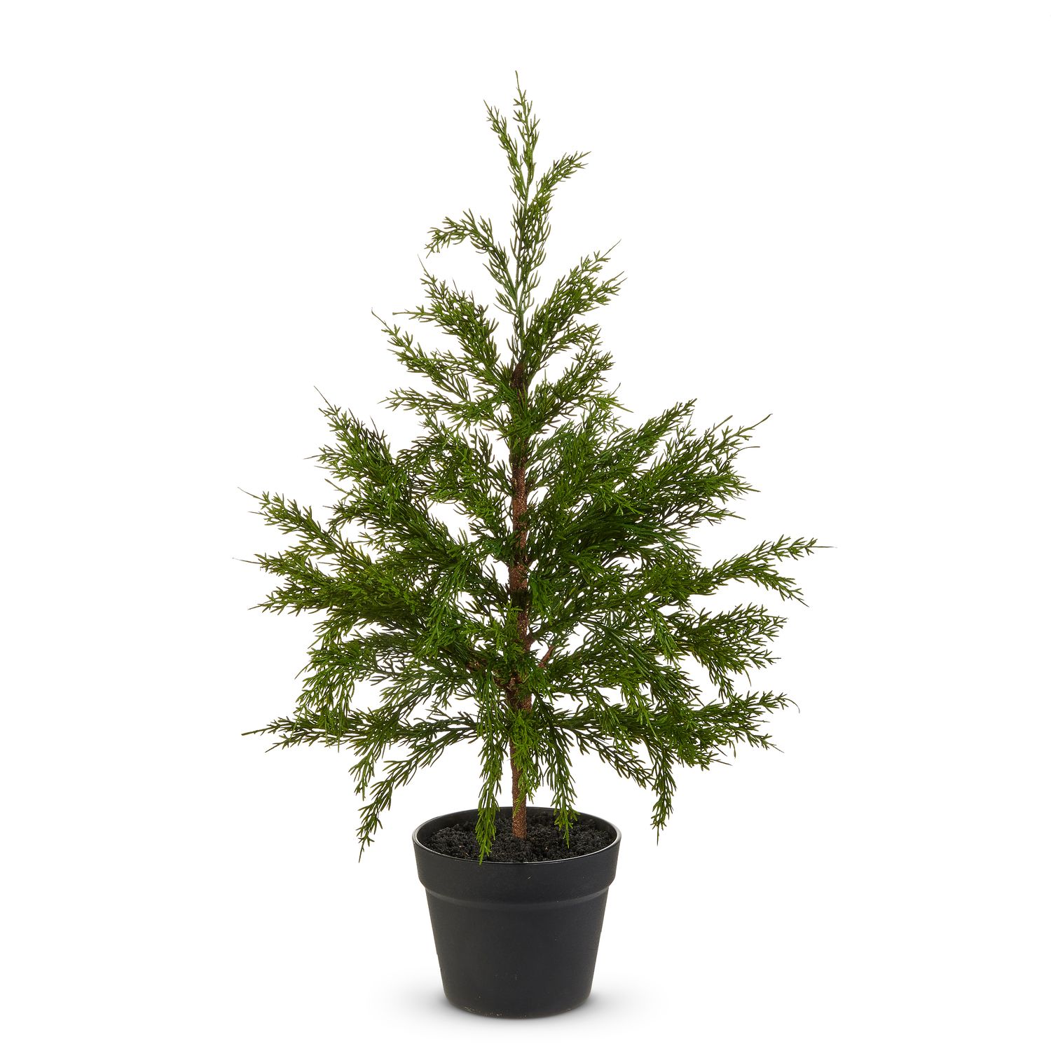 Potted Cedar Tree 27&quot;
