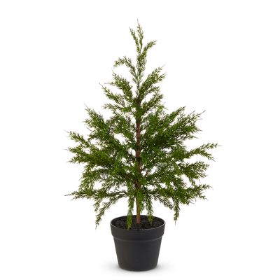 Potted Cedar Tree 27&quot;